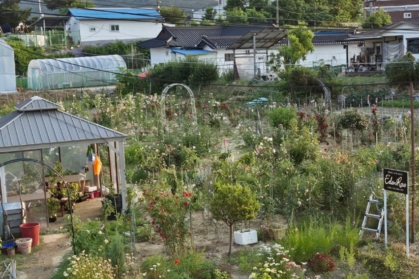 장미밭 농가주택독채 14번째 이미지