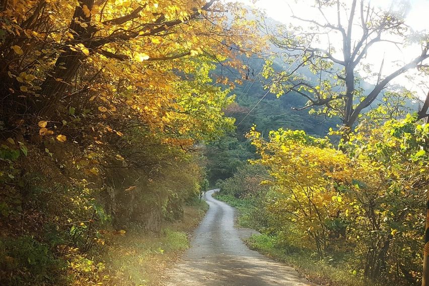 구례 황토방쉼터/하심정 12번째 이미지