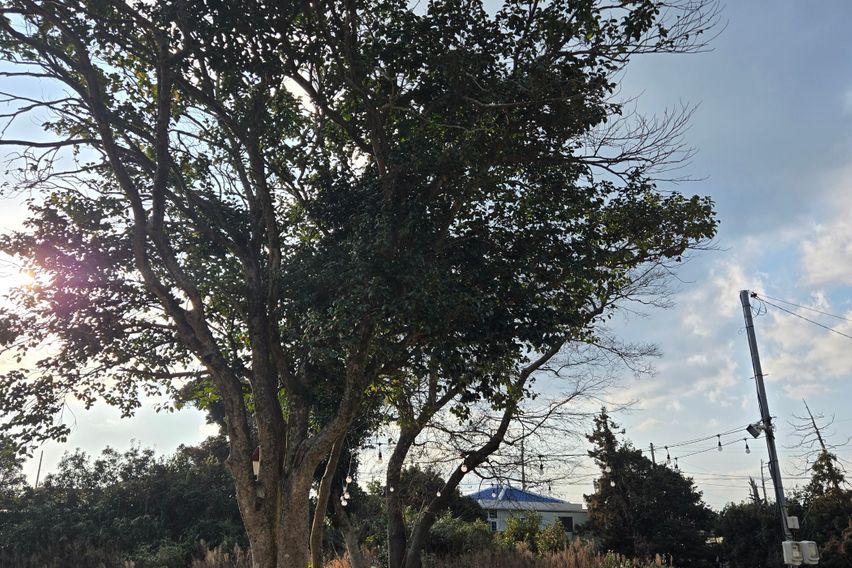 성산 수산뜰 애견가능 3번째 이미지