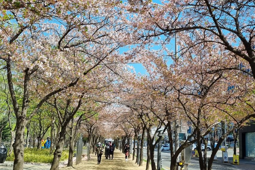 대구수성구수성못원룸숙소