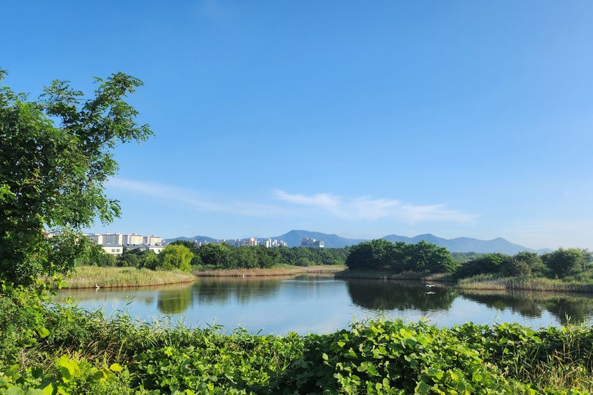 부산 신호동 바닷가뷰 12번째 이미지