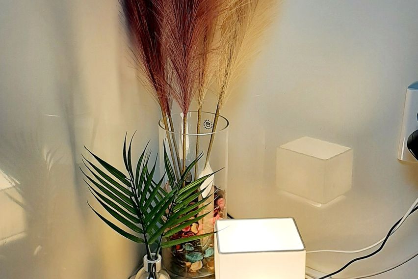 🌴신당동|청계천|동대문