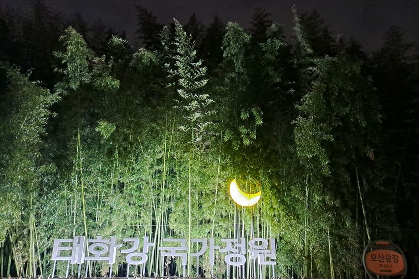 태화강국가정원과우정혁신