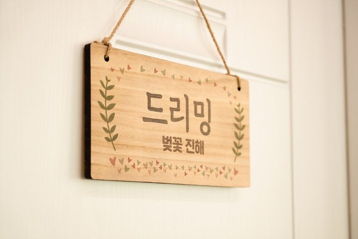 드리밍 벚꽃 진해 15번째 이미지