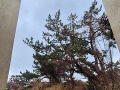 ❤️애견가능❤️타운하우스 18번째 이미지
