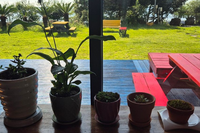 바닷가경관좋은 202호