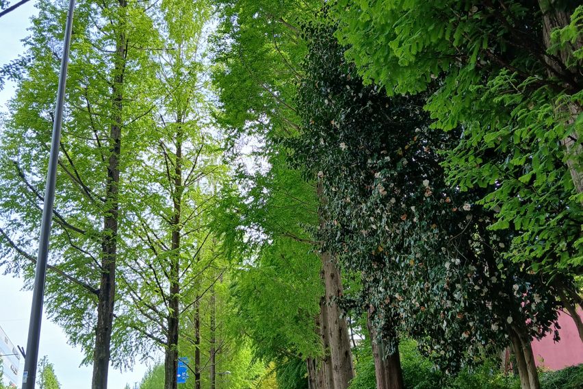 광주 에스더 왕비 방 4번째 이미지