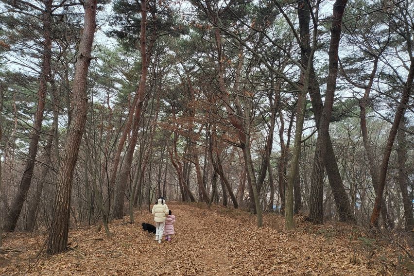 바로빌리지 (복층형) 10번째 이미지