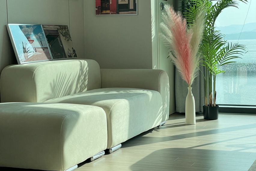 캘리포니아드림