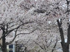풍경이 아름다운 뷰 8번째 이미지