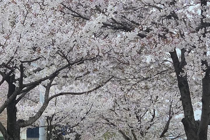 풍경이 아름다운 뷰 8번째 이미지