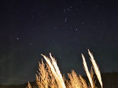 속리산자락풀옵션독채 15번째 이미지
