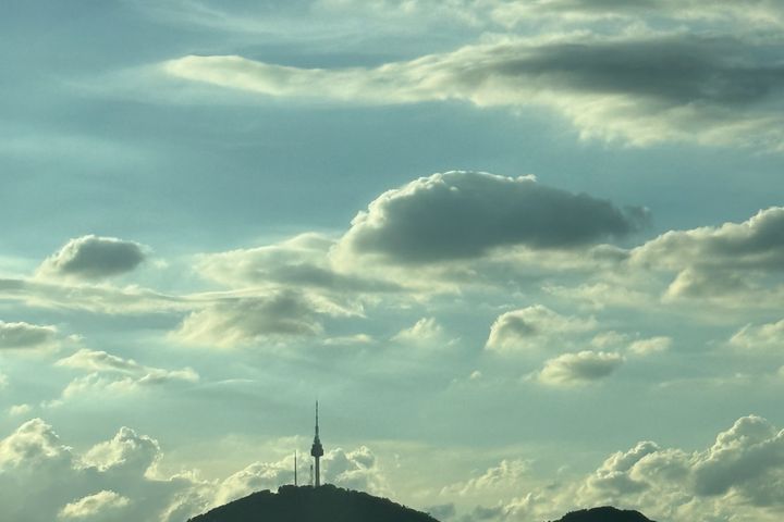 청담대로,작품이있는집🦋 19번째 이미지
