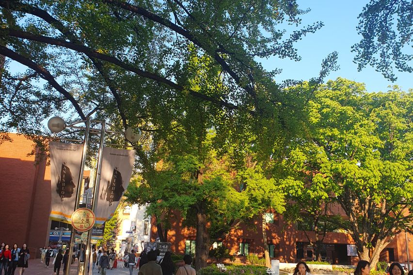 대학로성균관대서울대병원