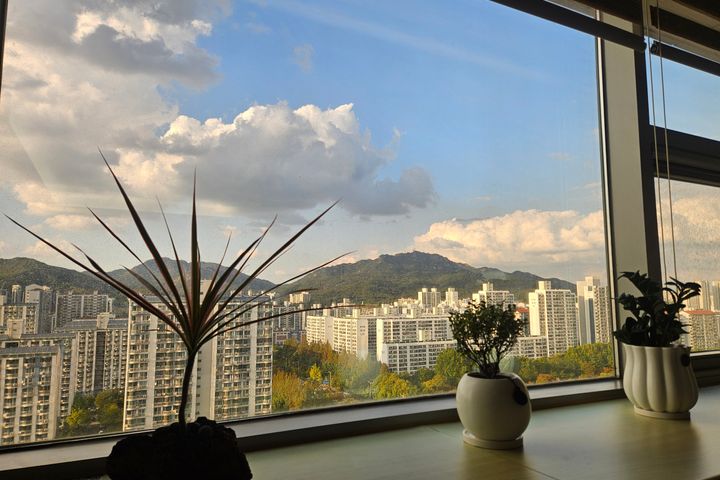 🌸신규할인심플마운틴뷰 15번째 이미지