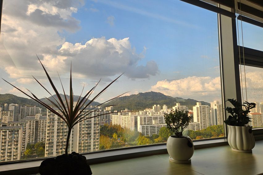 🌸신규할인심플마운틴뷰 15번째 이미지