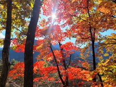 속초울산바위미키하우스 13번째 이미지