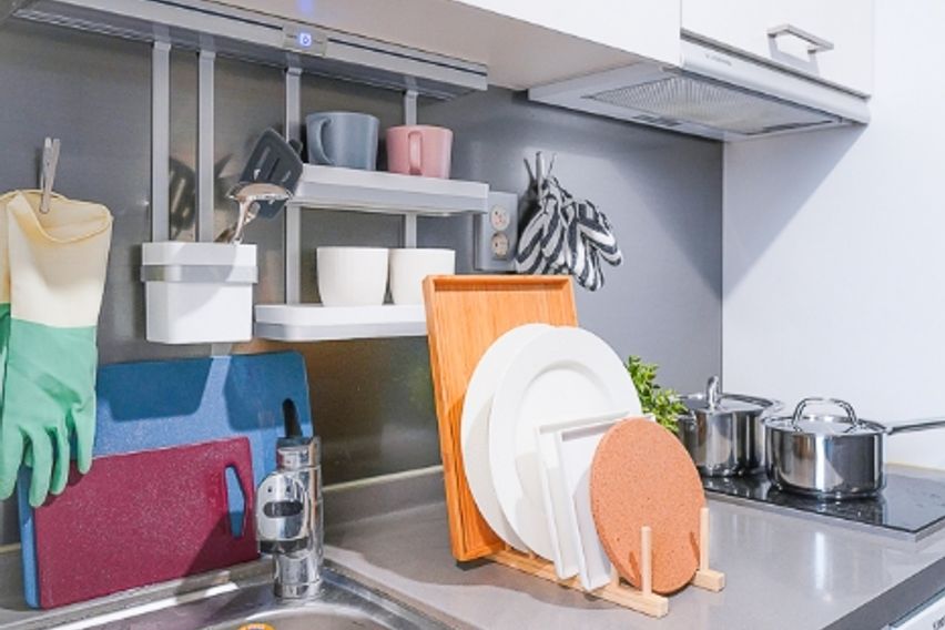 미금/정자🐕댕냥이OK