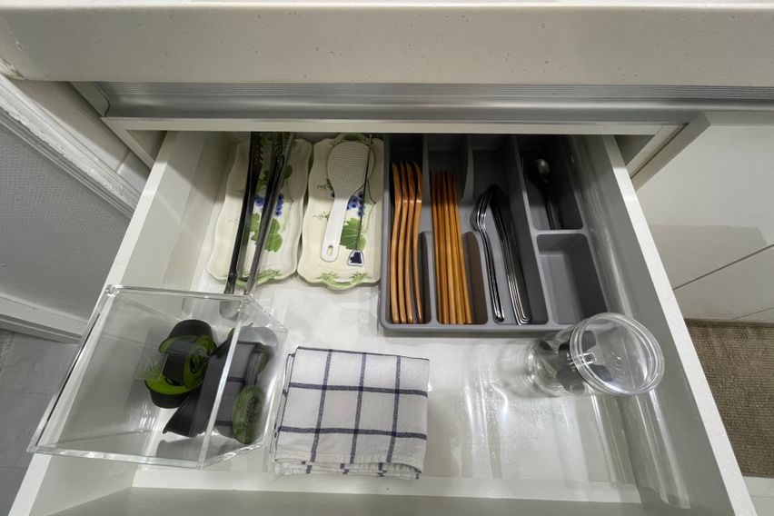 바닷가/넷플/숲세권애견