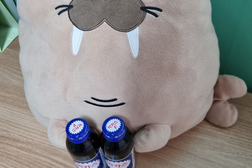 카이스트 대전출장 여행 3번째 이미지