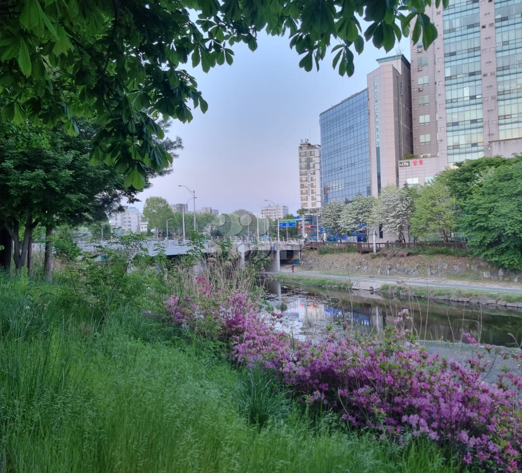 Chungnam National University, Daejeon Yuseong 16th image