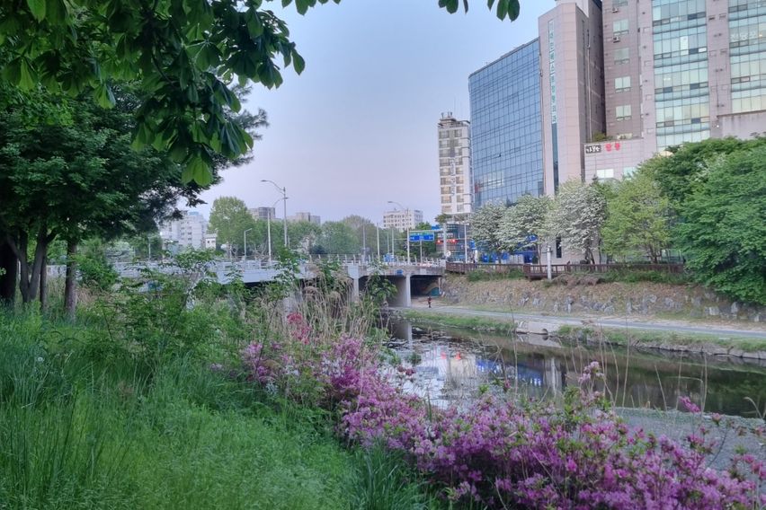 대전유성 충남대 초특가 16번째 이미지