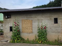 음성군 힐링 독채 주택 7번째 이미지