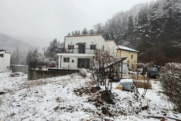 재너머 숲속의 아지트