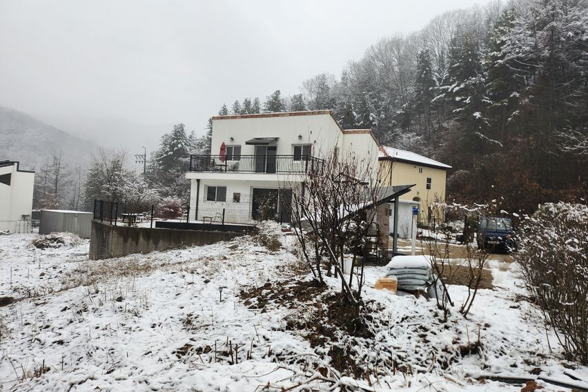 재너머 숲속의 아지트 0번째 이미지