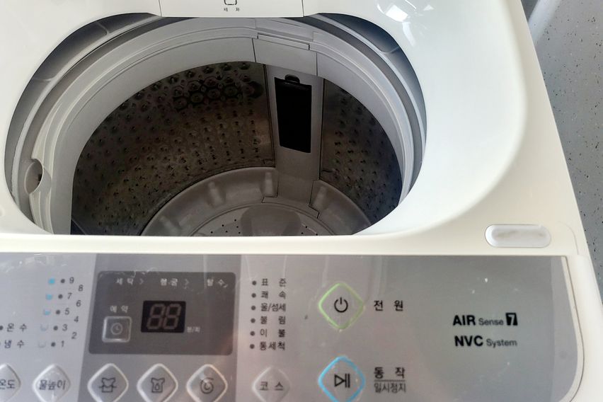 바다와 돌고래 오션뷰