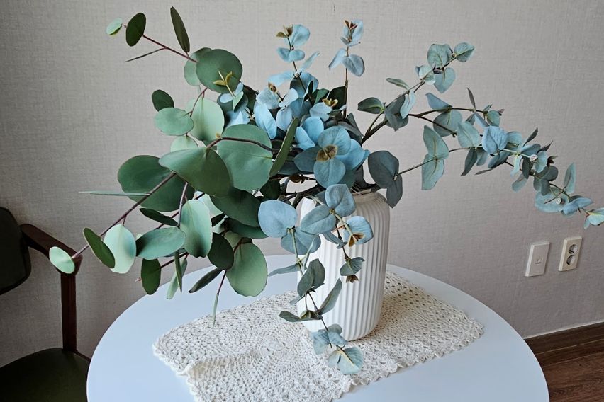 둔산동인근.을지병원출장