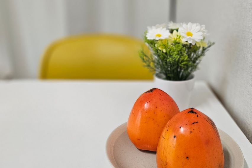 인사동 진주성 1분