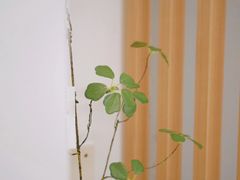 서울역 5분 스테이85 11번째 이미지