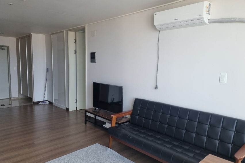 🌈 서귀포17평 애견