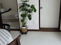 Bokunchae: A House Where Good Fortune and Luc 14th image