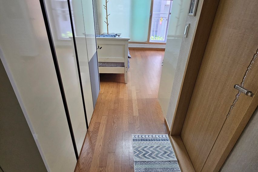 서귀포 신시가지 윙스