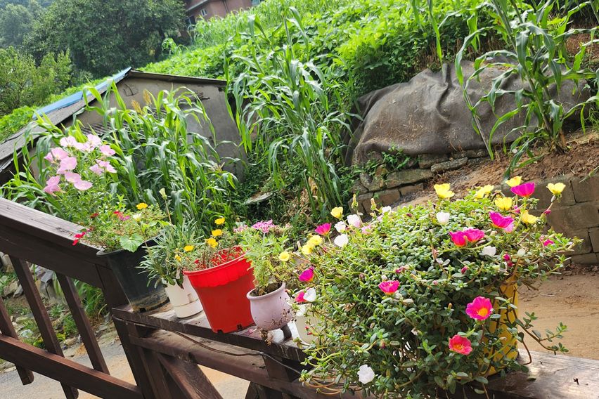  깅화도  오션뷰 첸션