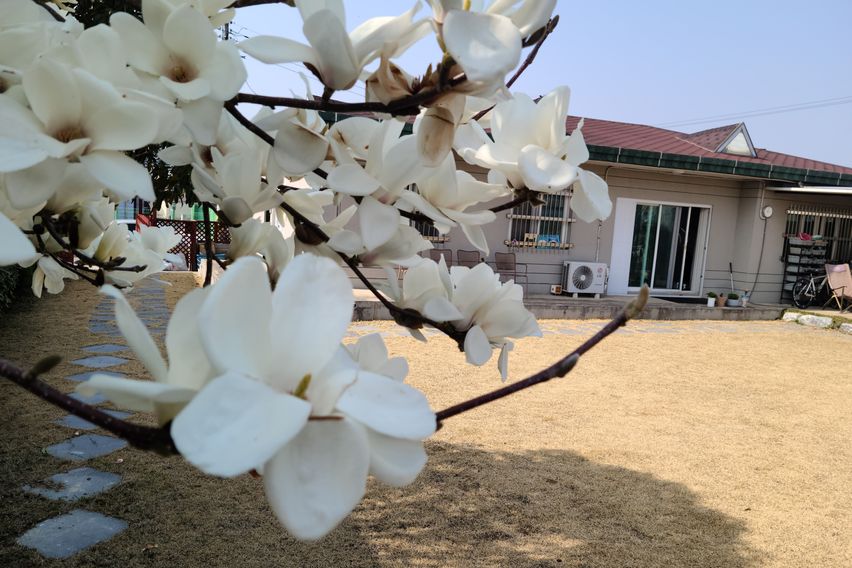 도심속 정원이 넓은 집 6번째 이미지