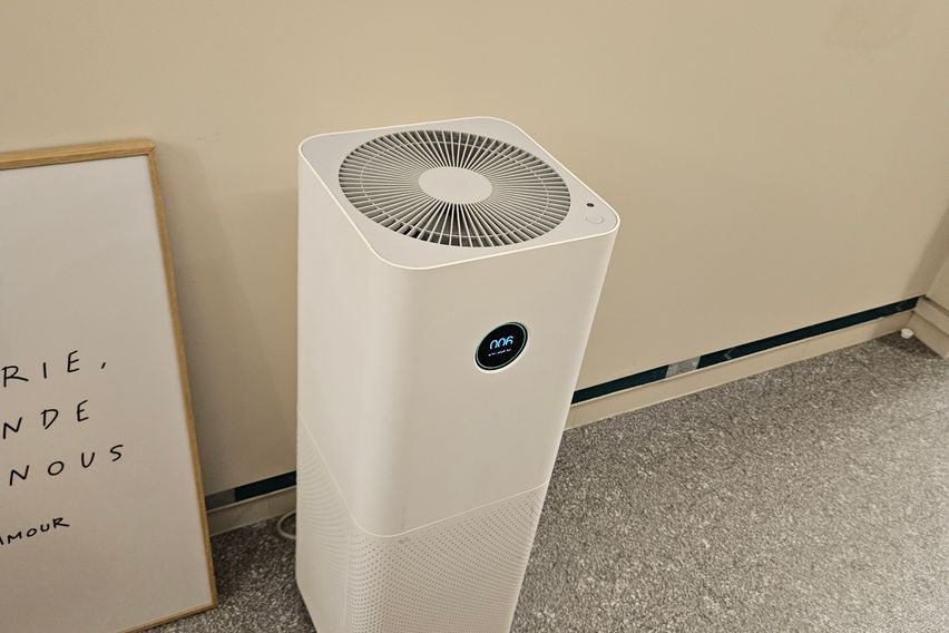 로와스테이디럭스A1타입