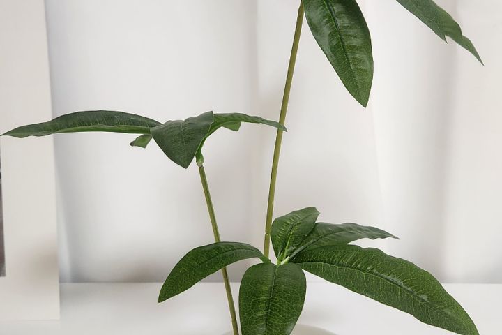 충북대복대동3룸침대5개 12번째 이미지