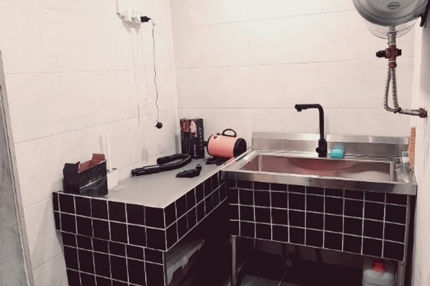 반려동물 가능 수원중심