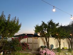 It's a seaside garden in Gijang-Ilgwang. 0th image