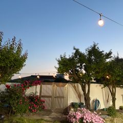 It's a seaside garden in Gijang-Ilgwang. Unit Image