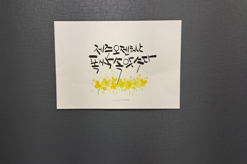 뚜벅이,시청 중심핫플!