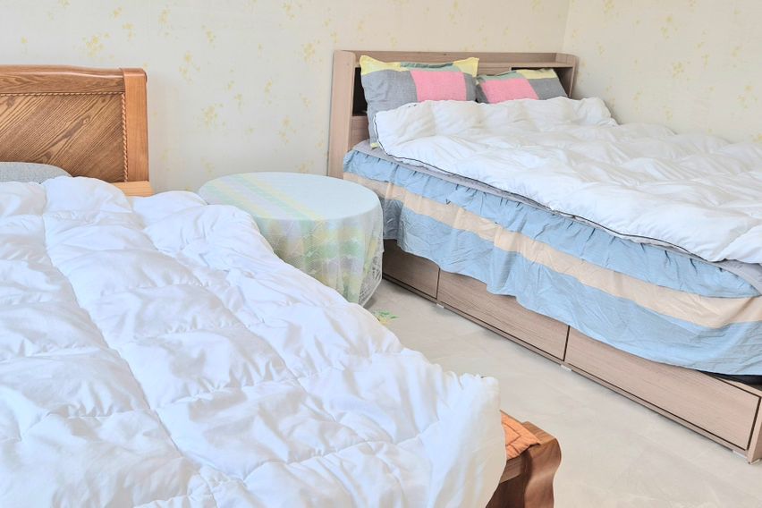 40평독채애견동반촌캉스