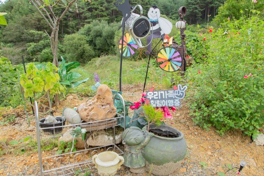 마당넓은 하늘별빛팬션