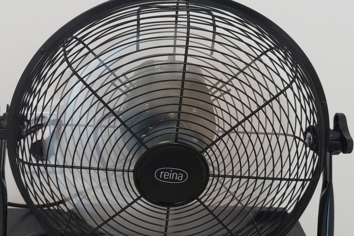 포레스트가든 14번째 이미지