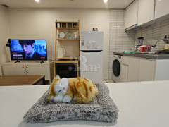 CU Korea University Hospital, 2nd floor, same 1th image