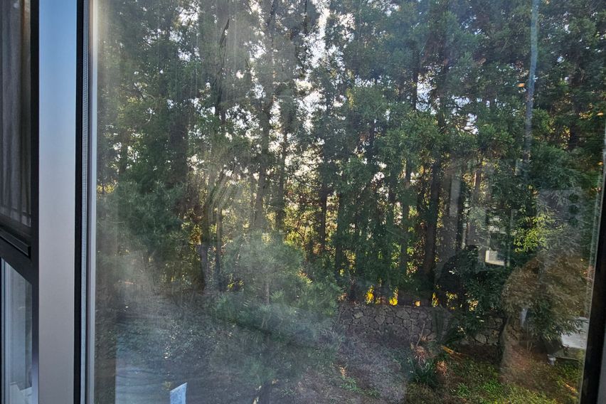 숲뷰 트윈베드 P7