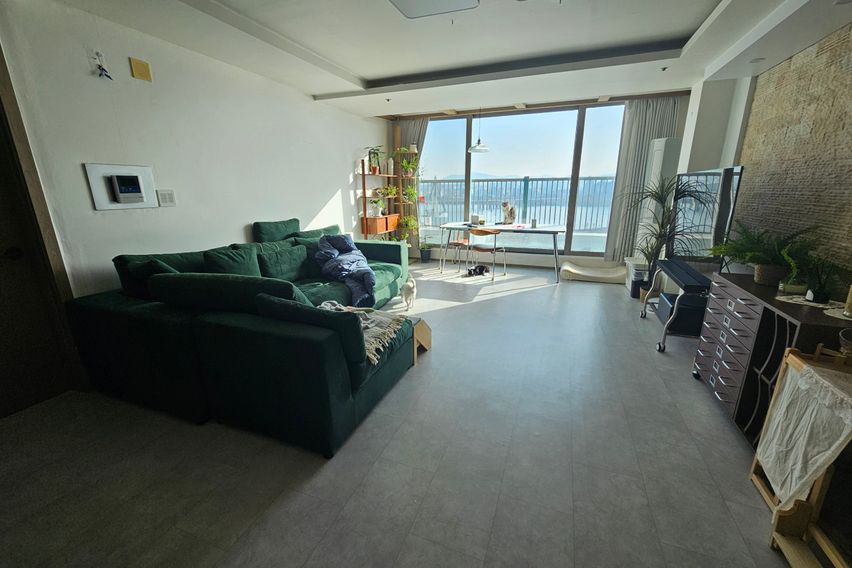 한강뷰 with 고양이